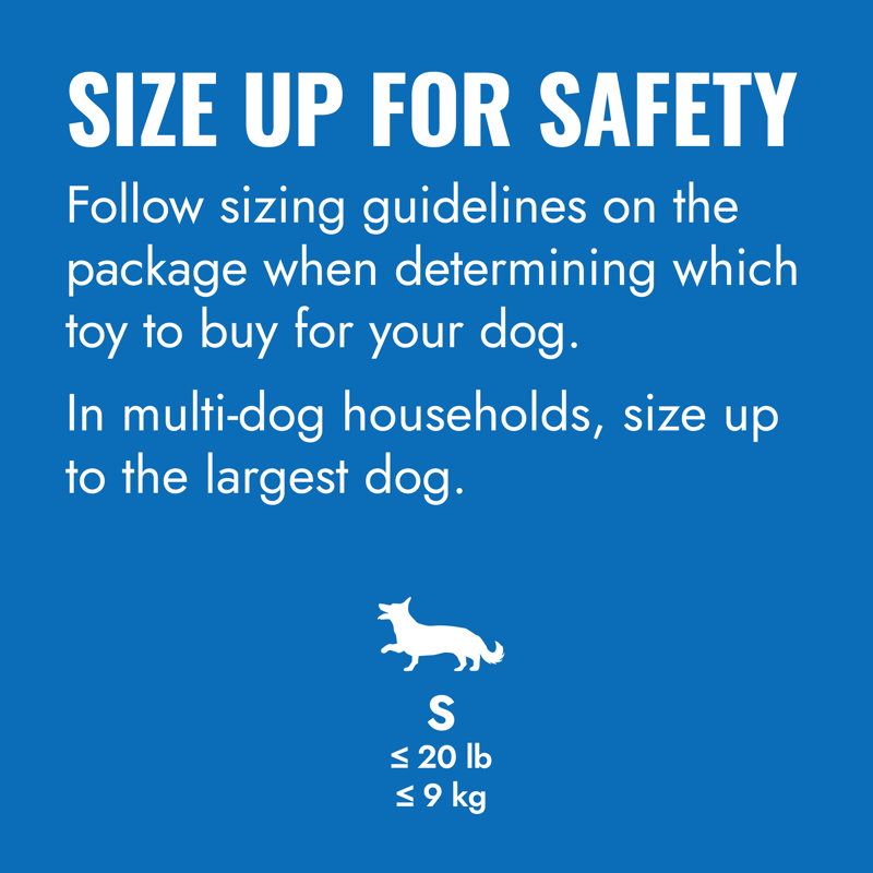 KONG Puppy Goodie Bone Dog Toy -4