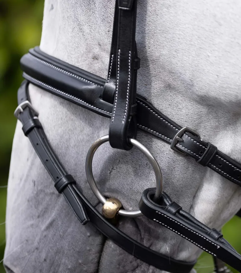 Premier Equine Padded Noseband For Pro Elevator Bridle - Black-1