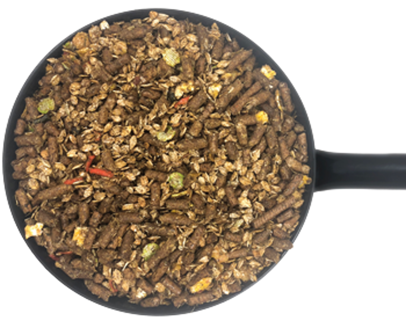 Dodson and Horrell Pasture Mix Conditioning Feed - 20kg-1