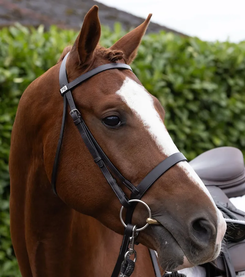 Premier Equine Plain Browband For Hunter Bridle - Dark Havana-5