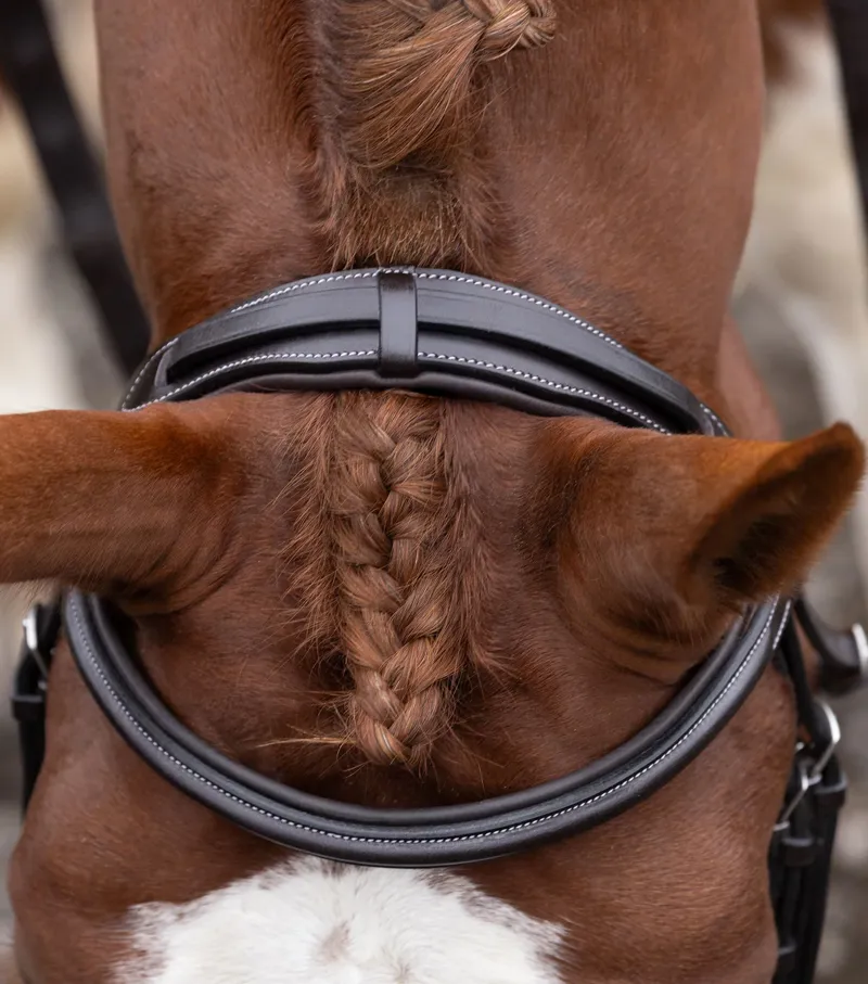 Premier Equine Pro Elevator Bridle Headpiece - Dark Havana-5