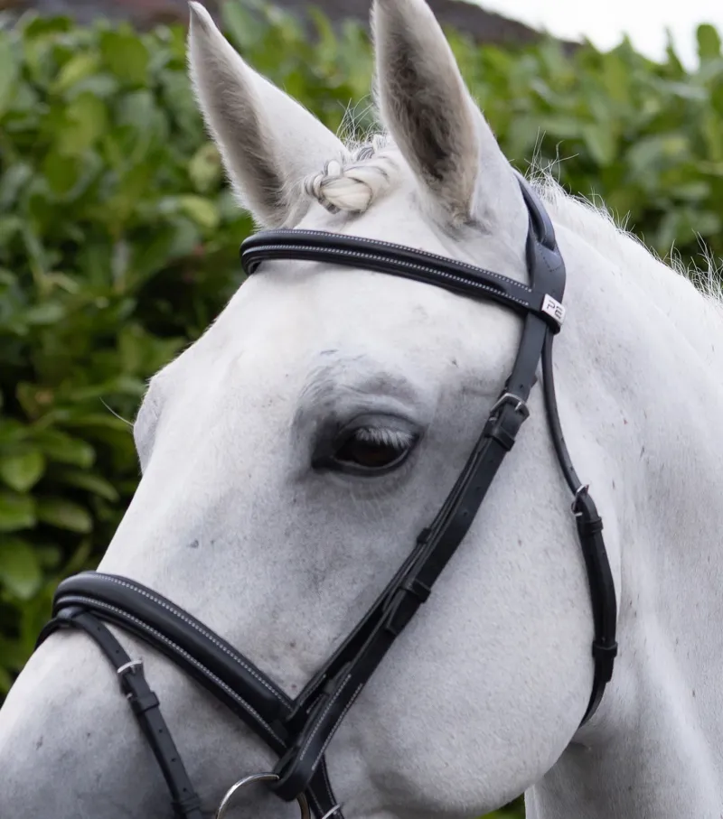 Premier Equine Padded Browband For Pro Elevator Bridle - Black-5