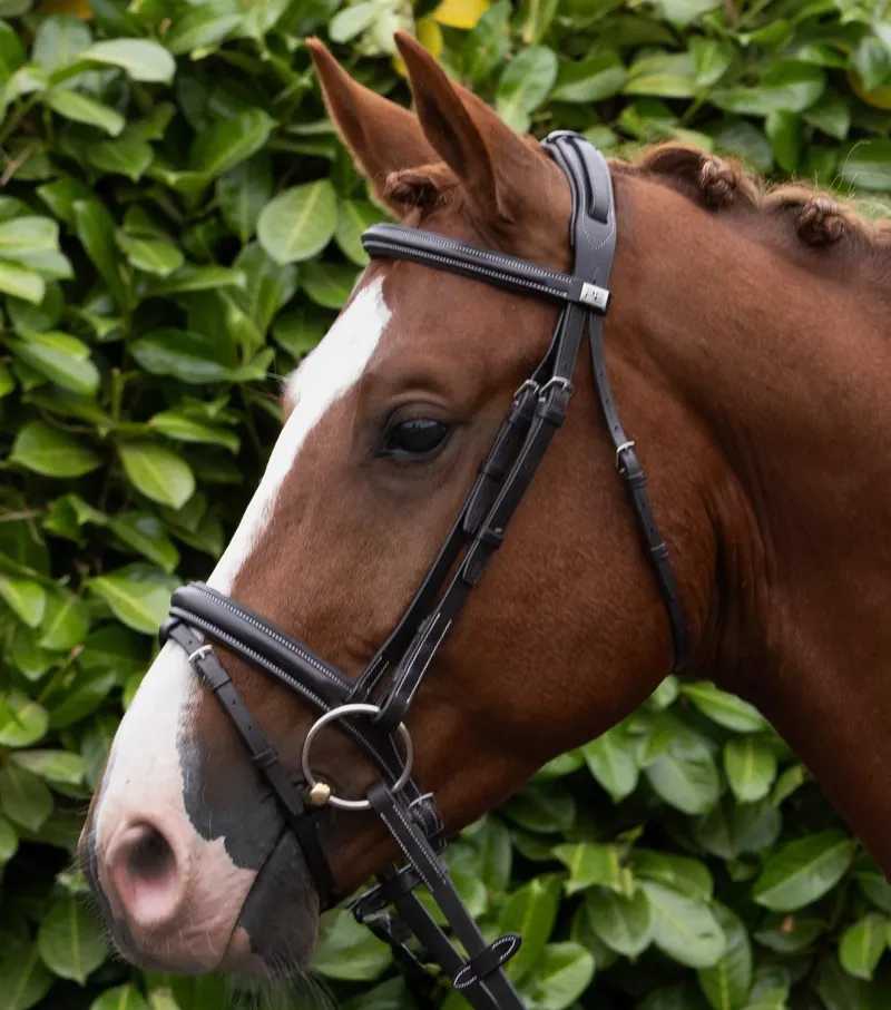 Premier Equine Padded Browband For Pro Elevator Bridle - Dark Havana-4