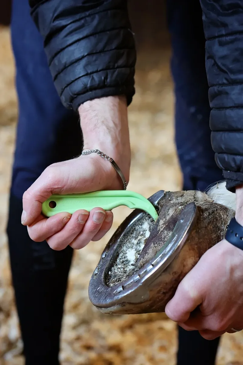 Red Gorilla Hoof Pick - Pistachio-1