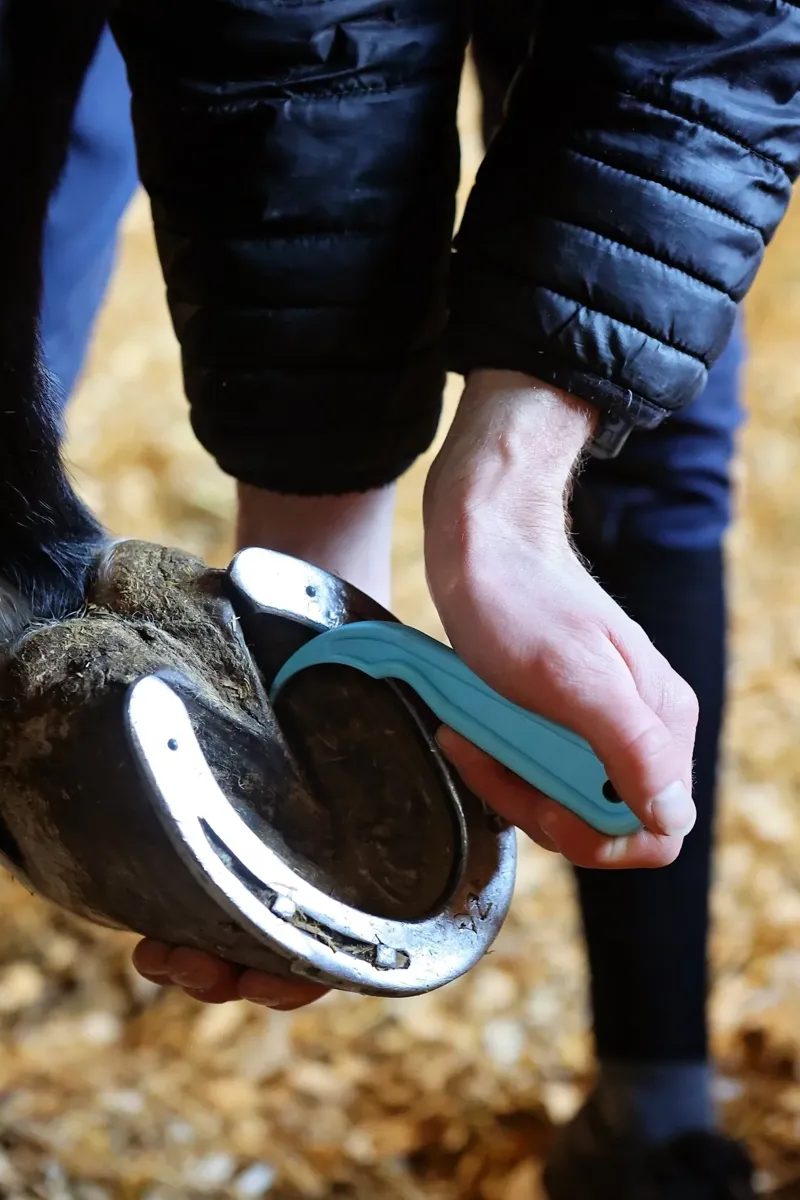 Red Gorilla Hoof Pick - Sky Blue-1