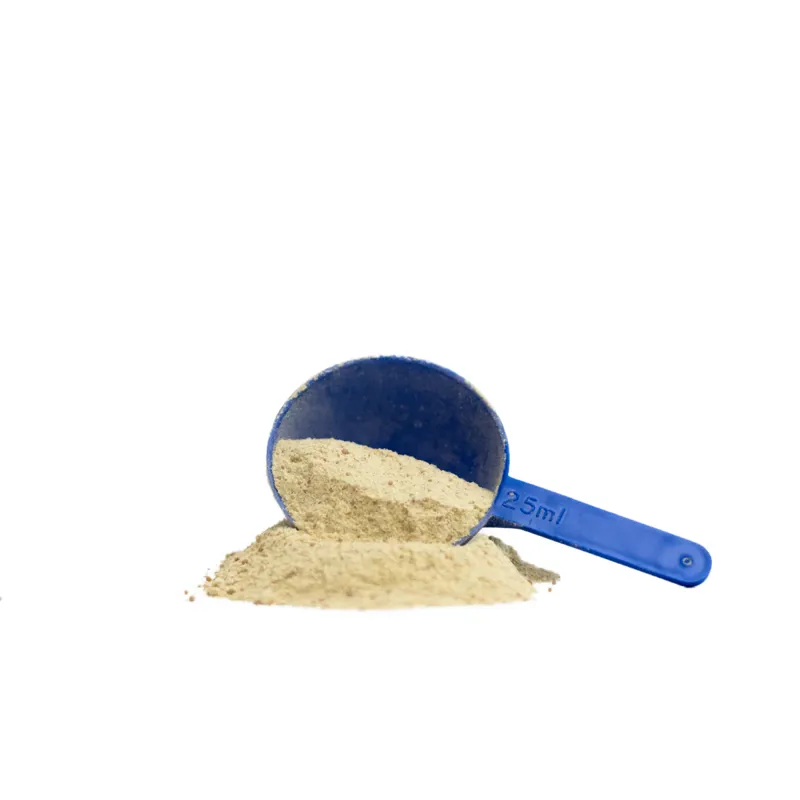 Radiance Gold Mare Formula-1