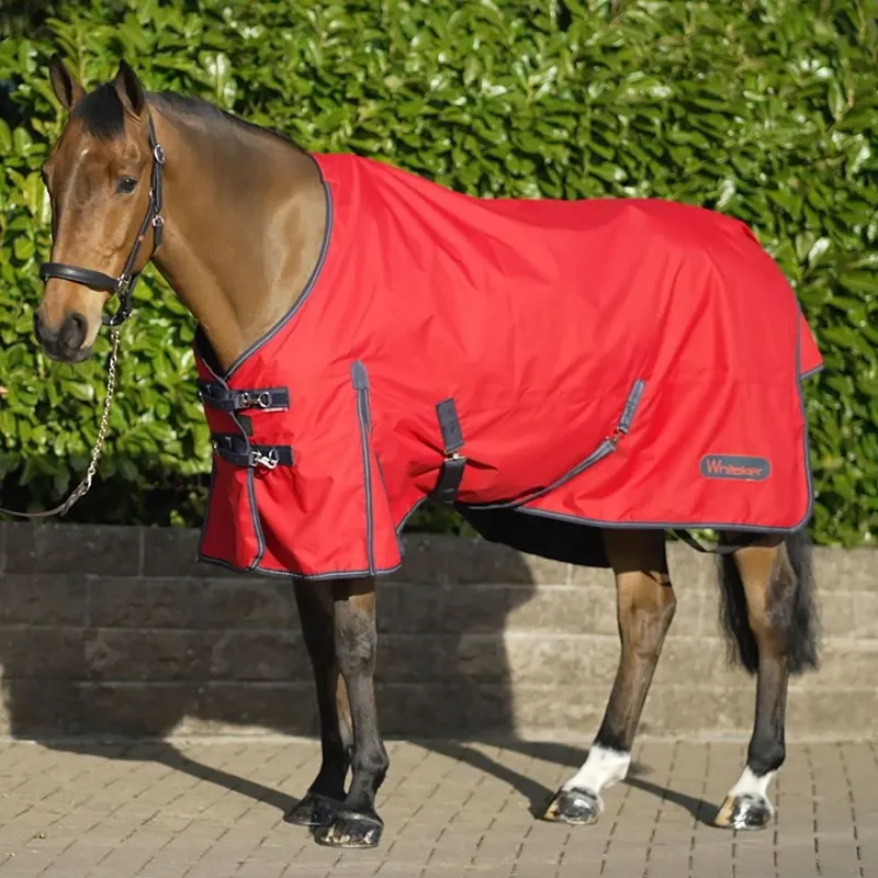 John Whitaker Rastrick 100g Turnout Rug - Red