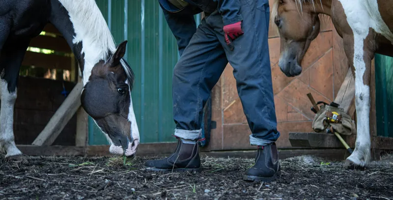Redback USBOK Steel Toe Safety Boots - Brown-5