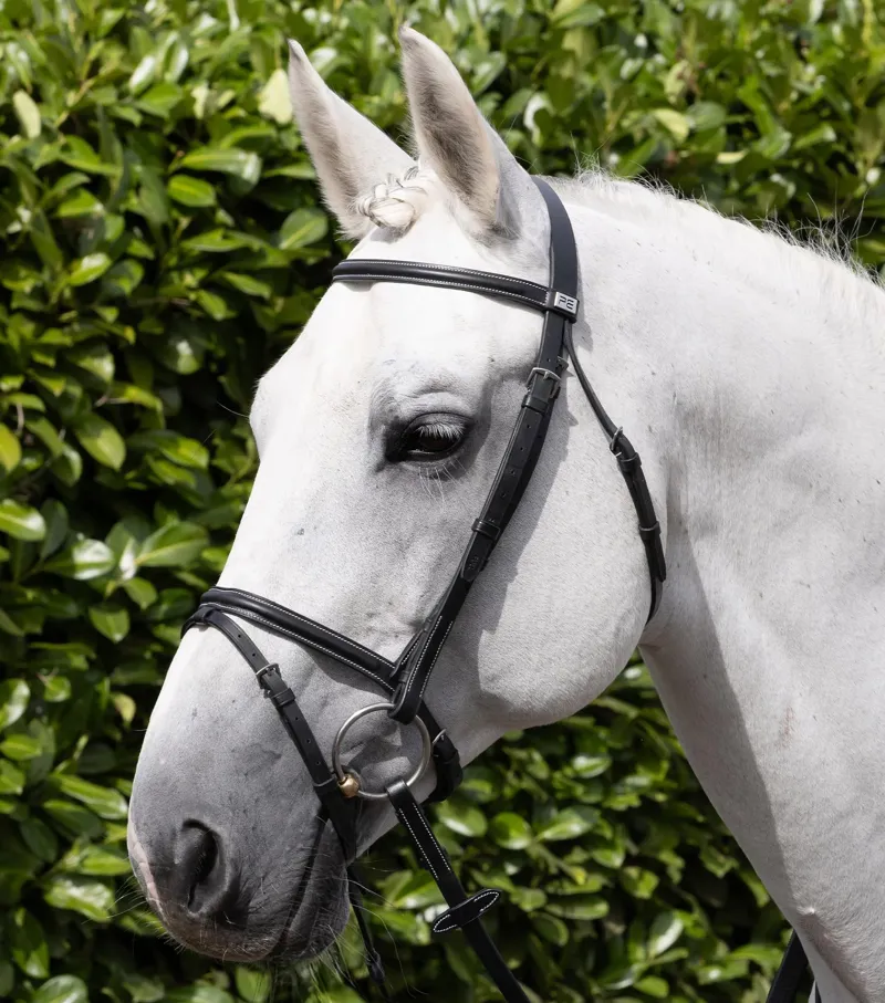 Premier Equine Raised Jump Browband - Black-4