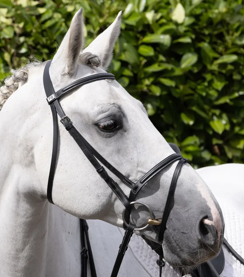 Premier Equine Raised Jump Browband - Black-5