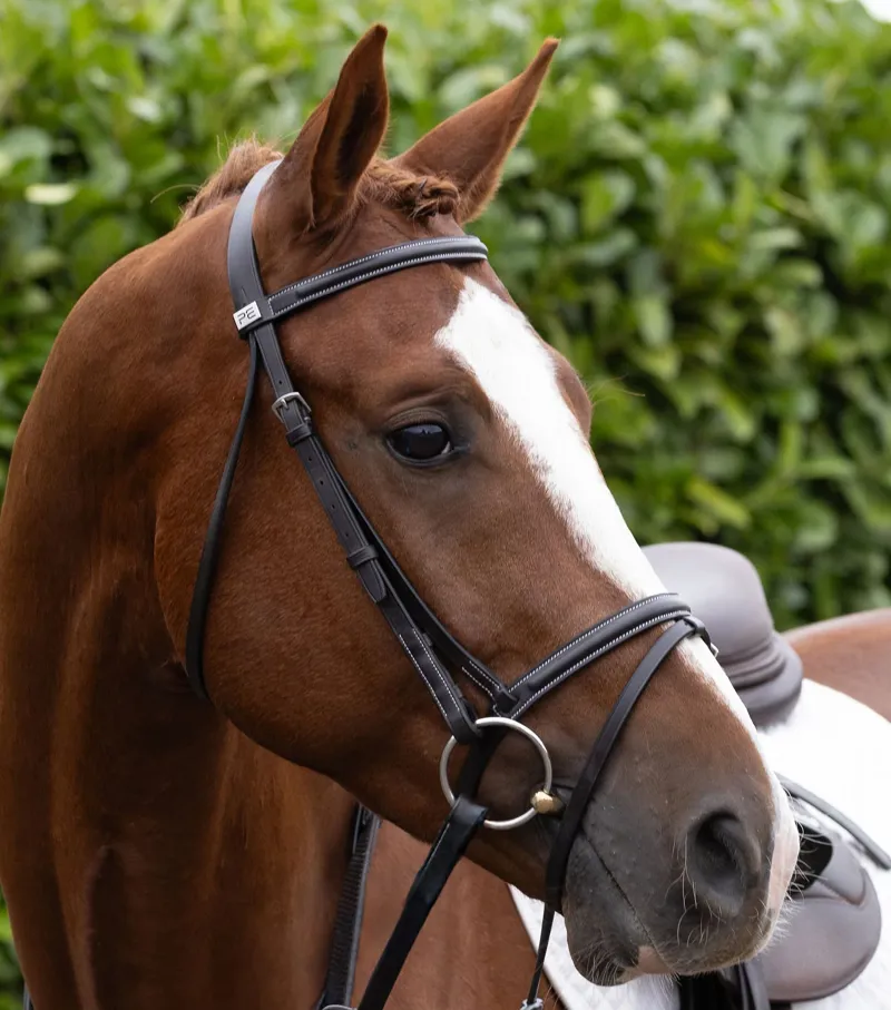 Premier Equine Raised Jump Browband - Dark Havana-5
