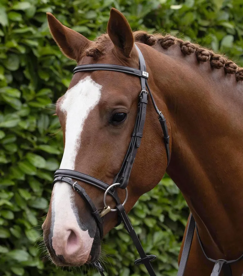 Premier Equine Raised Jumping Bridle with Flash Noseband - Dark Havana-1