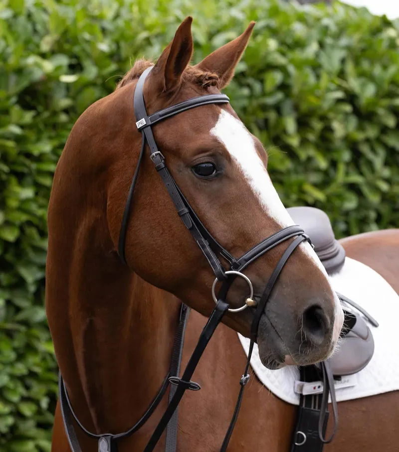 Premier Equine Raised Jumping Noseband - Dark Havana-5