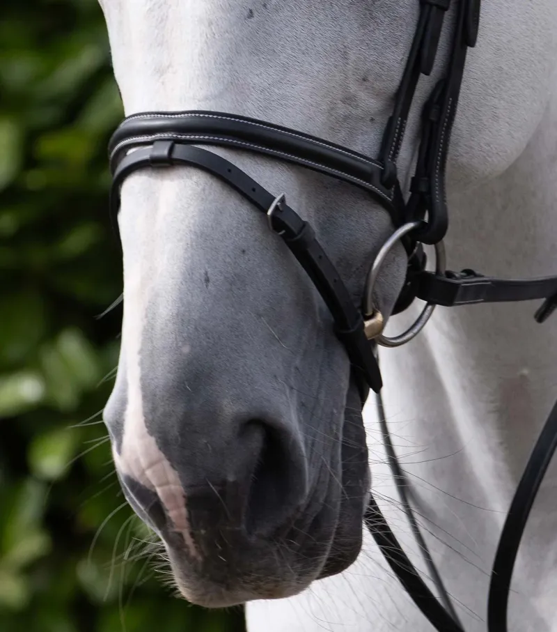 Premier Equine Raised Jumping Noseband - Black-4