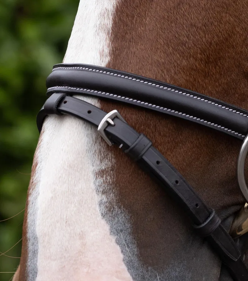 Premier Equine Raised Jumping Noseband - Dark Havana-1