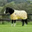 Saxon 600d Pony Standard Neck 180g Turnout Rug - Rhino Print