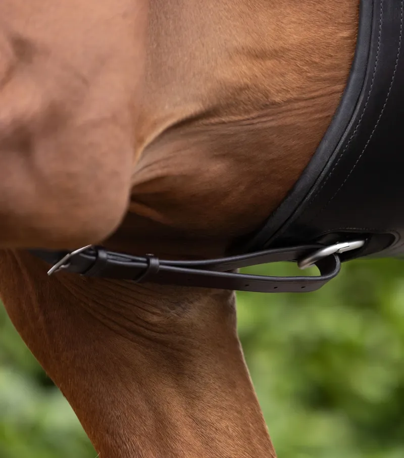 Premier Equine European Running Martingale - Dark Havana-3