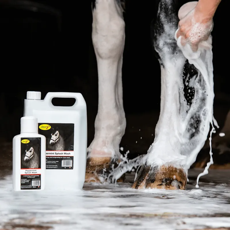 Smart Grooming Peppermint Splosh Cleaning Wash-3