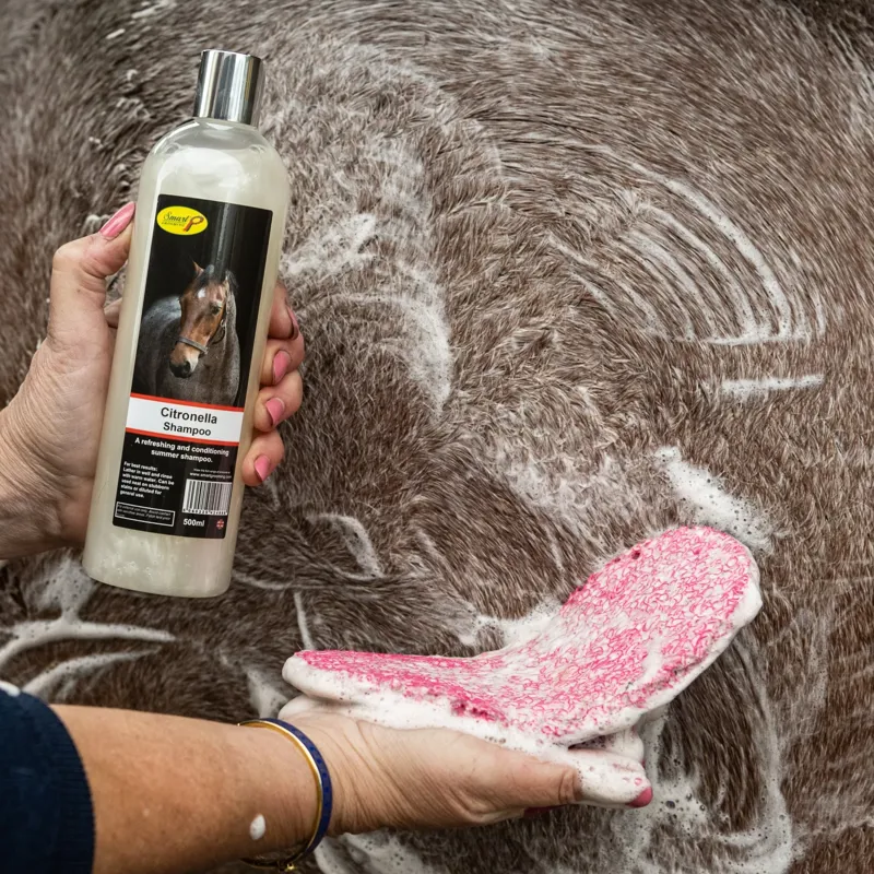 Smart Grooming Citronella Shampoo-2