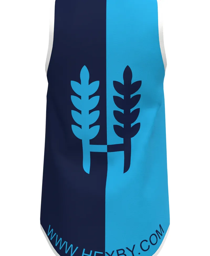 Hexby Singlet - Blue/Navy-1
