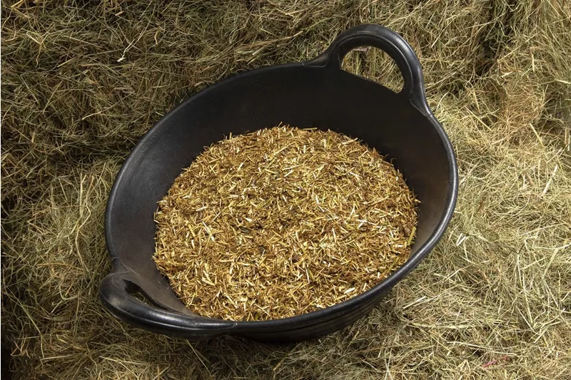Spillers Alfalfa-Pro Fibre - 20kg-1