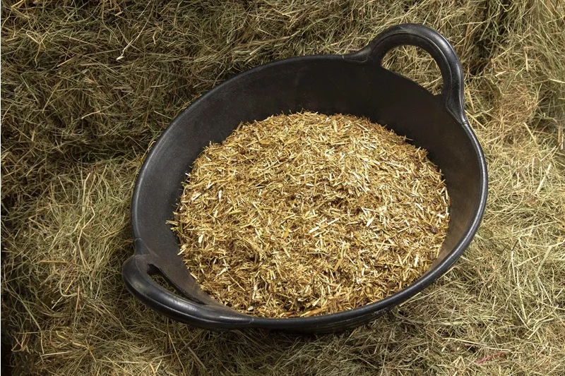 Spillers Happy Hoof Molasses Free - 20 kg-1