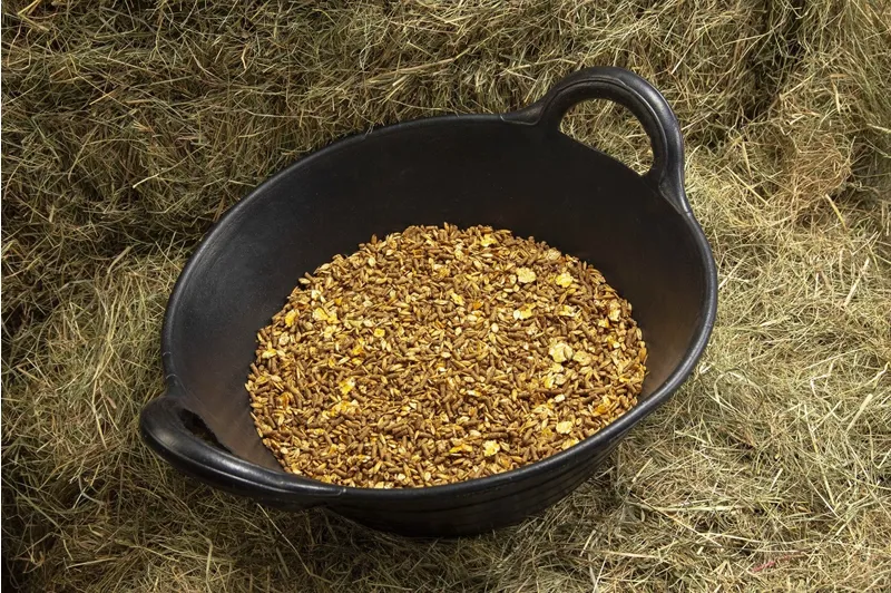 Spillers Stud and Youngstock Mix - 20kg-1