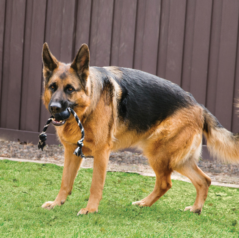 KONG Extreme Ball With Rope-5