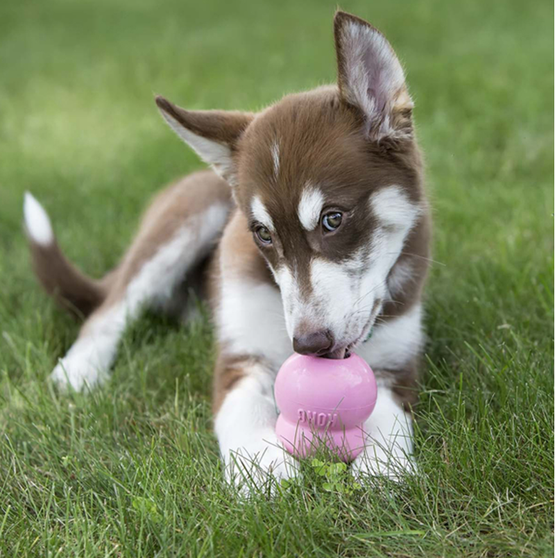 KONG Easy Treat Puppy - 225 gm -3