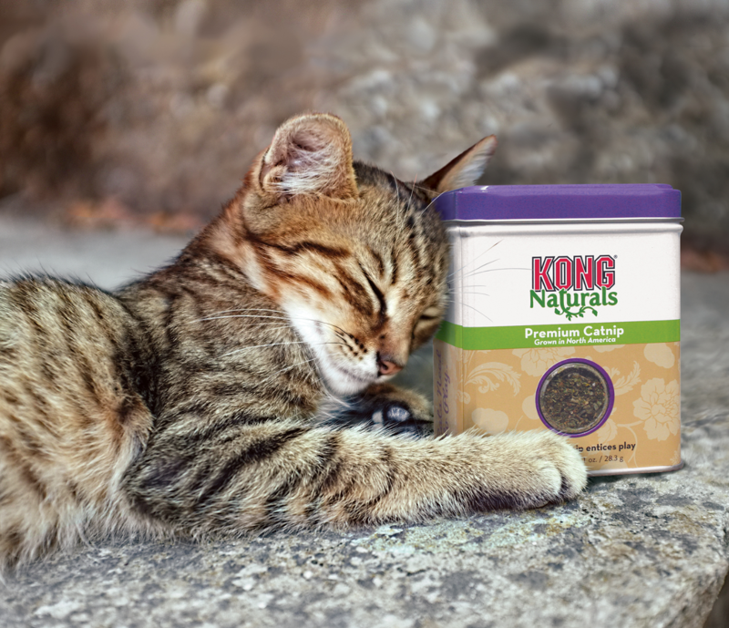 KONG CatNip Premium-3