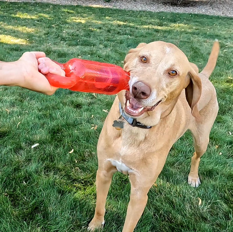 KONG Jumbler Tug Bone-3