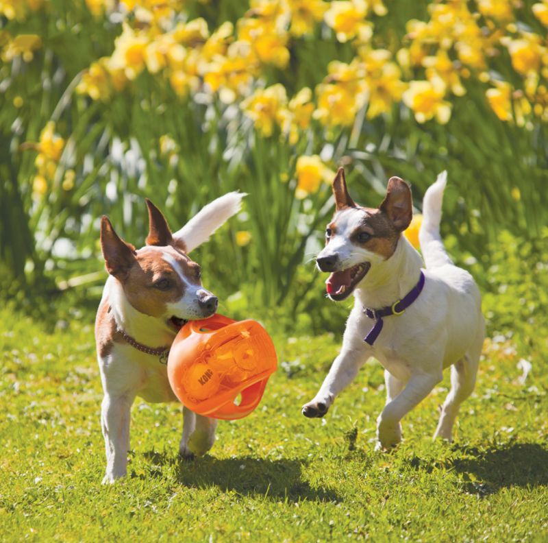 KONG Jumbler Ball -3