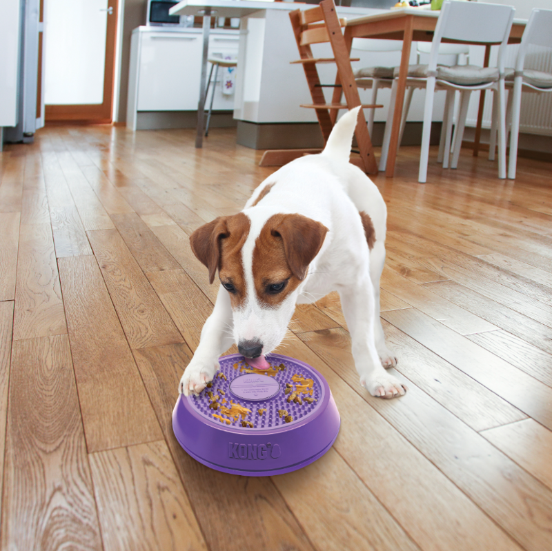 KONG Licks Spinz - Purple-4