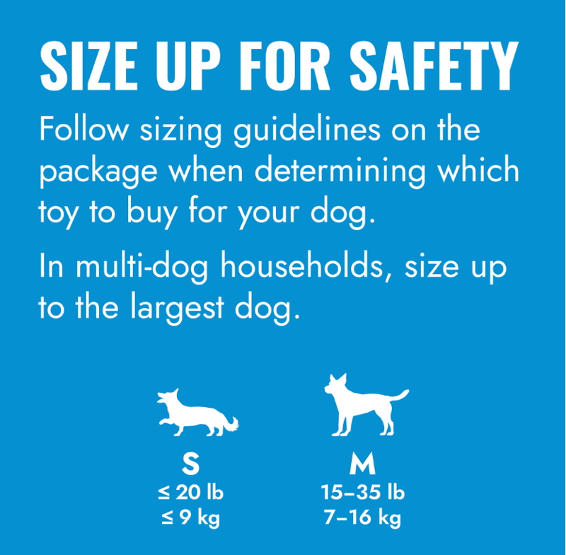 KONG Puppy Activity Ball-2