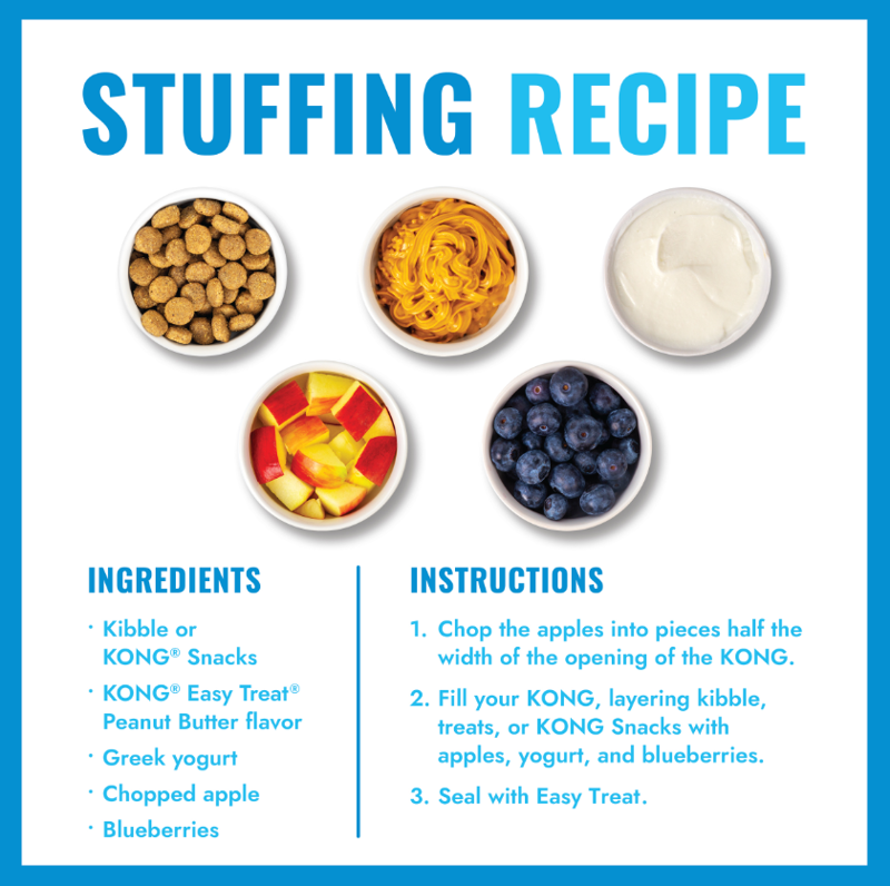 KONG Puppy Activity Ball-8