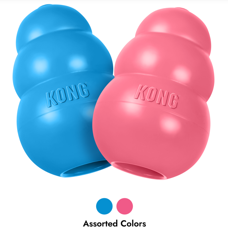 KONG Puppy -4