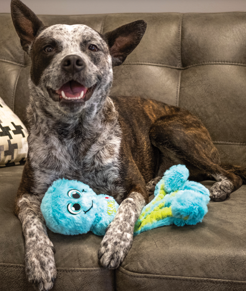 KONG Wubba Octopus -2