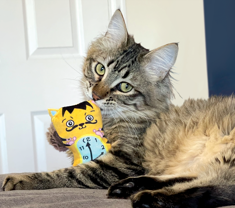 KONG Cat Artz Dali and Van Gogh - 2 pack-2