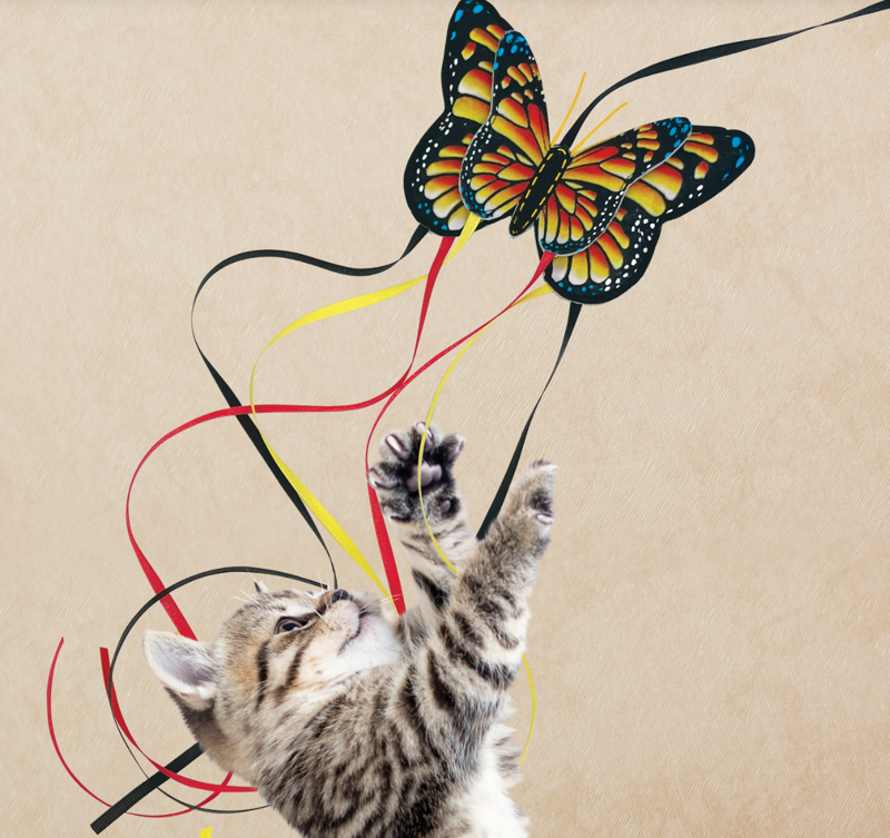KONG Cat Butterfly Teaser Colour Assorted-3