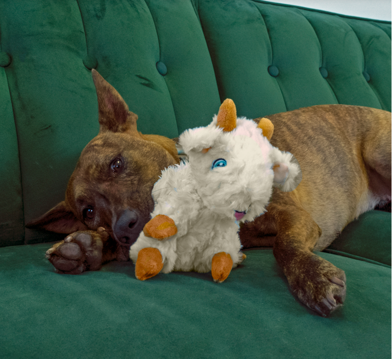 KONG Comfort Tykes Goat -2