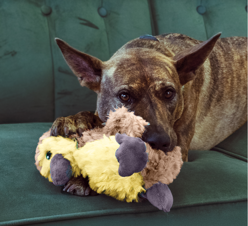 KONG Comfort Tykes Gosling -2