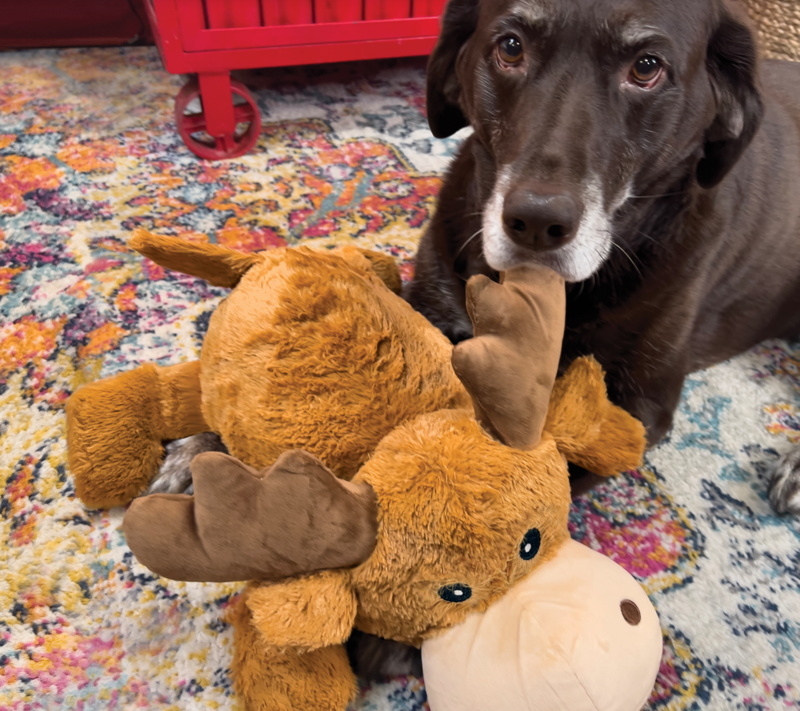 KONG Cozie Marvin Moose - X-Large -2