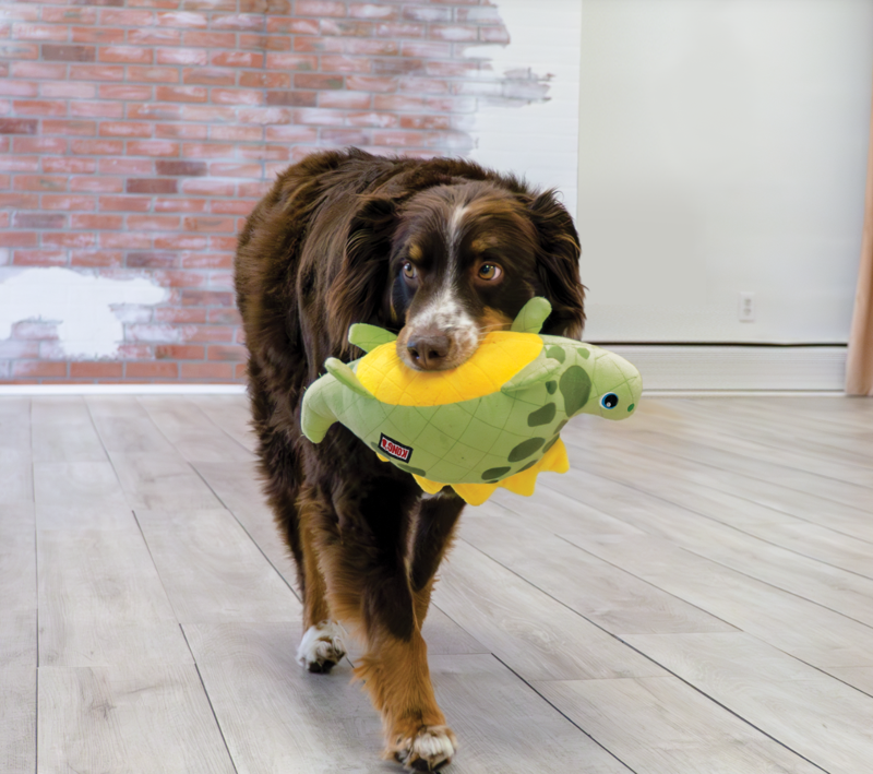 KONG Dynos Roars - Green-2