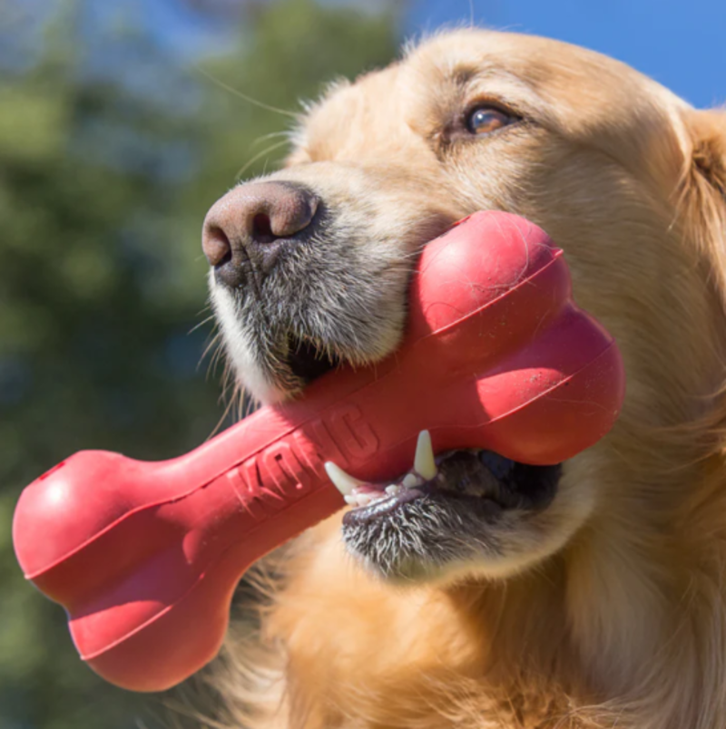 KONG Holiday Goodie Bone -2