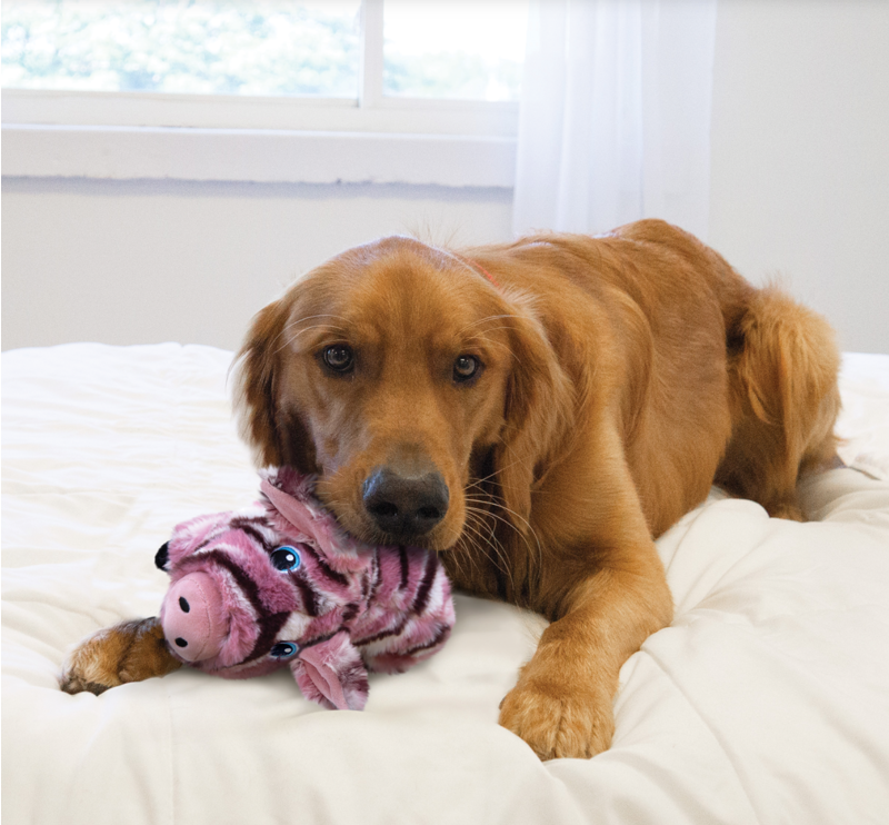 KONG Low Stuff Stripes Pig-2