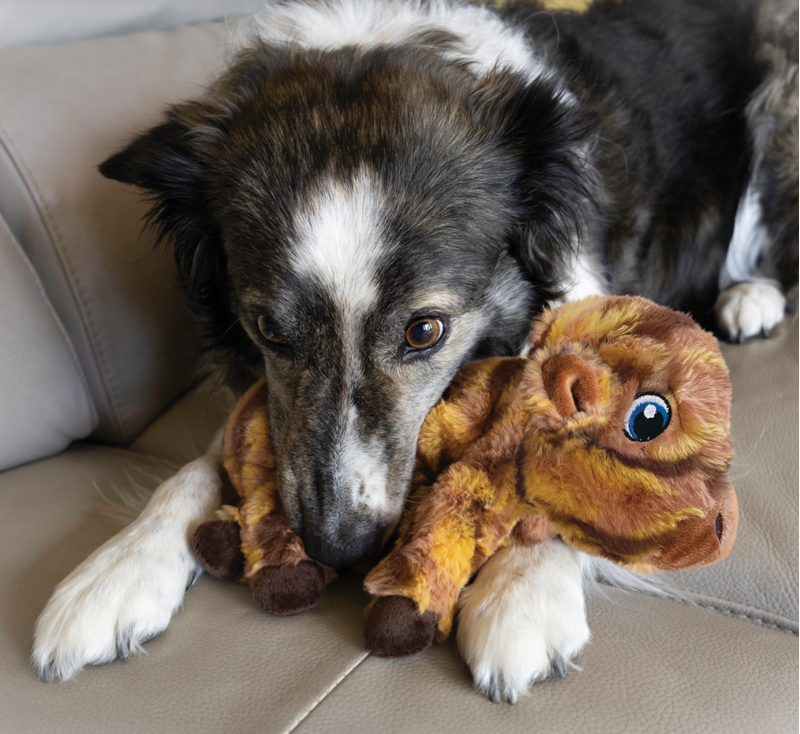 KONG Low Stuff Stripes Cow-2