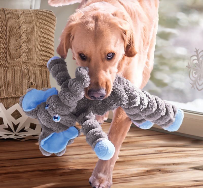 KONG Shakers Crumples Elephant -2