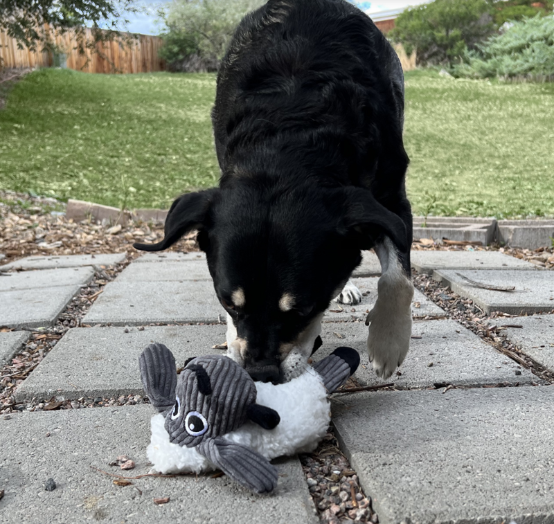 KONG Sherps Floofs Sheep -3