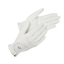 LeMieux Classic Riding Gloves - White