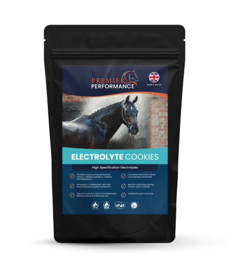 Premier Performance Electrolyte Cookies 